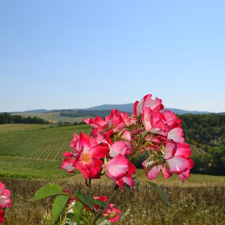 Agriturismo Cignanbianco Castellina in Chianti Eksteriør billede
